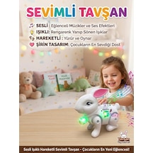 Hayvan