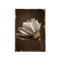 Bedeko Kahverengi Tonlarında Çiçek Hediyelik Mdf Tablo 25 Cm X 35 Cm