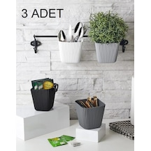 223 3'lü Düzenleyici Organizer Kaktüs Saksısı Asılabilir Organizer Plastik 10 X 15 Gri Diğer