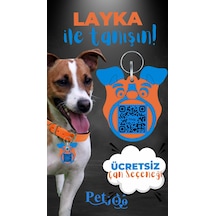 Petjoo 22.Layka Mavi-Turuncu Qr'lı Köpek Künyesi