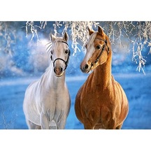 Castorland 260 Parça The Winter Horses Puzzle
