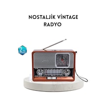 Dekoratif Vintage Radyo Klasik Görünüm Modern Fonksiyon Ve Uzun Ömürlü Kullanım Mh-hs5560-3702