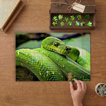 Yeşil Ağaç Pitonu Tasarımı 240 Parça Ahşap Puzzle Ahşap Kutuda Mpy10112