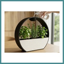 Trendexa 3d Baskı Kendinden Sulamalı Dekoratif Saksı - Otomatik Sulama Sistemli Modern Bitki Saksısı Mac Diğer