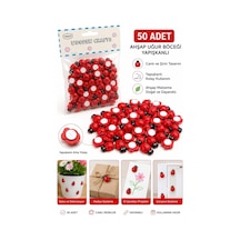 50 Adet Minyatür Ahşap Uğur Böceği Sticker El İşi Scrapbook & Dıy Süsleme Aksesuarı