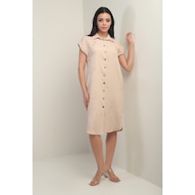 Vizon