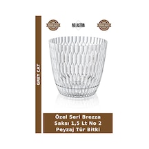 Özel Seri Brezza Saksı 1,5 Lt No 2 Peyzaj Tür Bitki