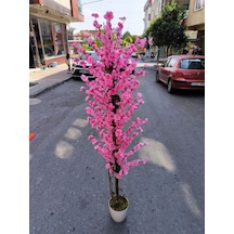 Rüzgar Yapay Çiçekçilik 175 Cm Beyaz Saksida Pembe Bahardali Ağacı Pembe
