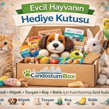 Candostumbox Evcil Hayvan Hediye Kutusu Kedi Köpek Tavşan Kuş V