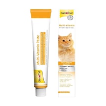 Gimcat Multi Vitamin Kedi Macunu 100 Gr