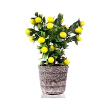 Yapay Çiçek Seramik Saksıda Limon Ağacı