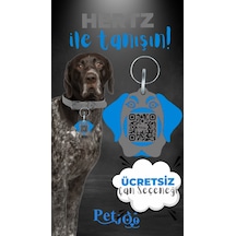 Petjoo 26.Hertz Mavi-Gri Qr'lı Köpek Künyesi