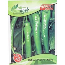 SunaGRi Sera Demre Sivri Biber Tohumu