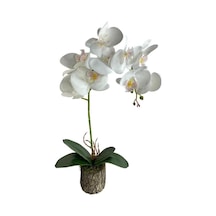 Yapay Çiçek Kütük Saksılı Tekdal Islak Orkide Beyaz 50 30cm Standart