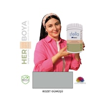 Stella Serisi Yeni Nesil Yüzey Dönüşüm Boyası - Rozet Gümüş Diğer