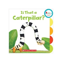 Rookie Toddler: Is That A Caterpilla