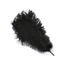 400 Pcs Decor Vıp Black Bırd Feather 400 Adet Siyah Kuş Tüyü Siyah Şeffaf Balon Tüyü Süsleme Tüyü