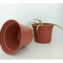 Ucuz Saksı 14X11 Cm Vakum Saksı Çiçek Saksı Fide Üretim -Adet Seç