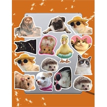Happy Feet Sticker Seti Laptop Ajanda Notebook Tablet Telefon Defter Etiket Bullet Journal Diğer