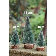 10 CM