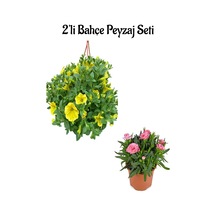 Sarı Renk Petunya Çiçeği 20-30cm +pembe Karanfil 15-25 Cm 2'li Bahçe Peyzaj Seti