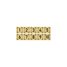 Metal Kapı Masa Dolap Numara Levhası 4x4cm Altın Renk 10 Adet (1…10)