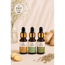 Biodamla Natural Karın Rahatlığı Paketi Eko Paket Diğer