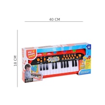 Pilli Piyano Org 40 Cm