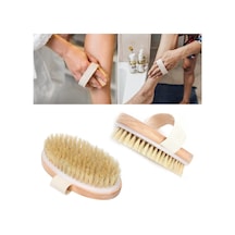 Doğal At Kılı Oval Selüloit Giderici Selülit Fırçası