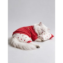 Tatlı Çilek Kedi Rüyası Pamuklu Çilekli Kedi Tulumu, Kırmızı Sweatshirt Ve Mini Yastık 3parça