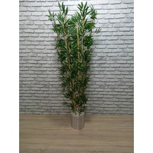 Şık Metal Saksıda 180 Cm 6 Dal Bambu Çok Renkli