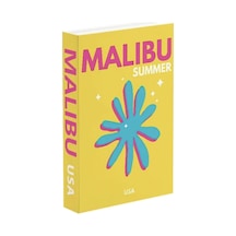 598 Malıbu Summer