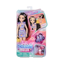 Jfx99 Rene - Barbie Dream Besties Paten Partisi Rene Bebek Ve Aksesuarları