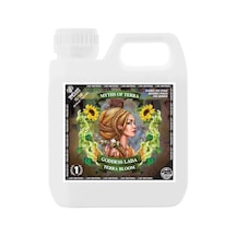 Terra Power Goddess Lada 500 ml