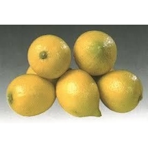 Tüplü Kıbrıs Limonu Fidanı