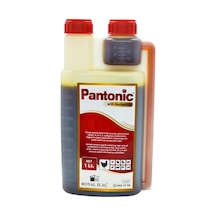 Royal İlaç Pantonic 1 Lt. Vitamin Ve Mineral Desteği