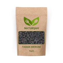 Naturşah Yaban Mersini Murt 50 G