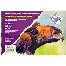 Art Liva Çok Amaçlı Resim Defteri 35x50 CM 350 g