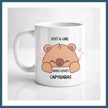 Bezos Just A Girl Who Loves Capybaras Yazılı Kapibara Tasarımlı Kupa Model 215 Baskılı Seramik Kahve Kupası Ob Çok Renkli