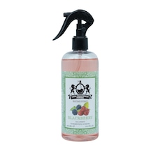 Lion Francesco Home Spray Blackberry 450ML
