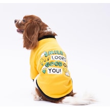 Yellow Loviisa Polarlı Küçük Irk Köpek Sweatshirtü L Sarı