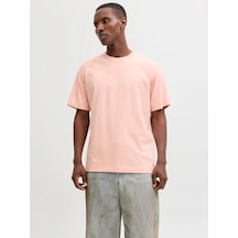 Jack & Jones Jack&jones Jornorrebro Emb Tee Ss Erkek T-shirt 12282892 Yavruağzı