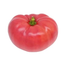 20 Adet Pembe Biftek Domates Tohumu