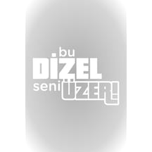 25 X 16 Cm Bu Dizel Seni Üzer Oto Cam Sticker Araba Sticker