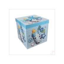 Kapaklı, Katlanır Demonte Karton Kutu, 30cm - Biberon & Mavi