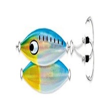 Daiwa Daiwa Saltiga Sk Jig