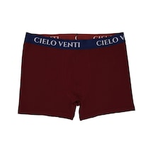 Cielo Venti Night Collection 2'li Organik Pamuk Erkek Boxer Bordo - Mavi