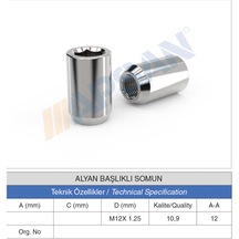 20 Adet Alyan Başlıklı Somun M12x1,25