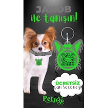 Petjoo 8.Jakob Yeşil-Gri Qr'lı Köpek Künyesi