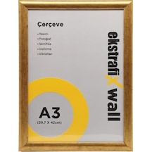 Ekstrafix Çerçeve A3 29,7x42cm Altın